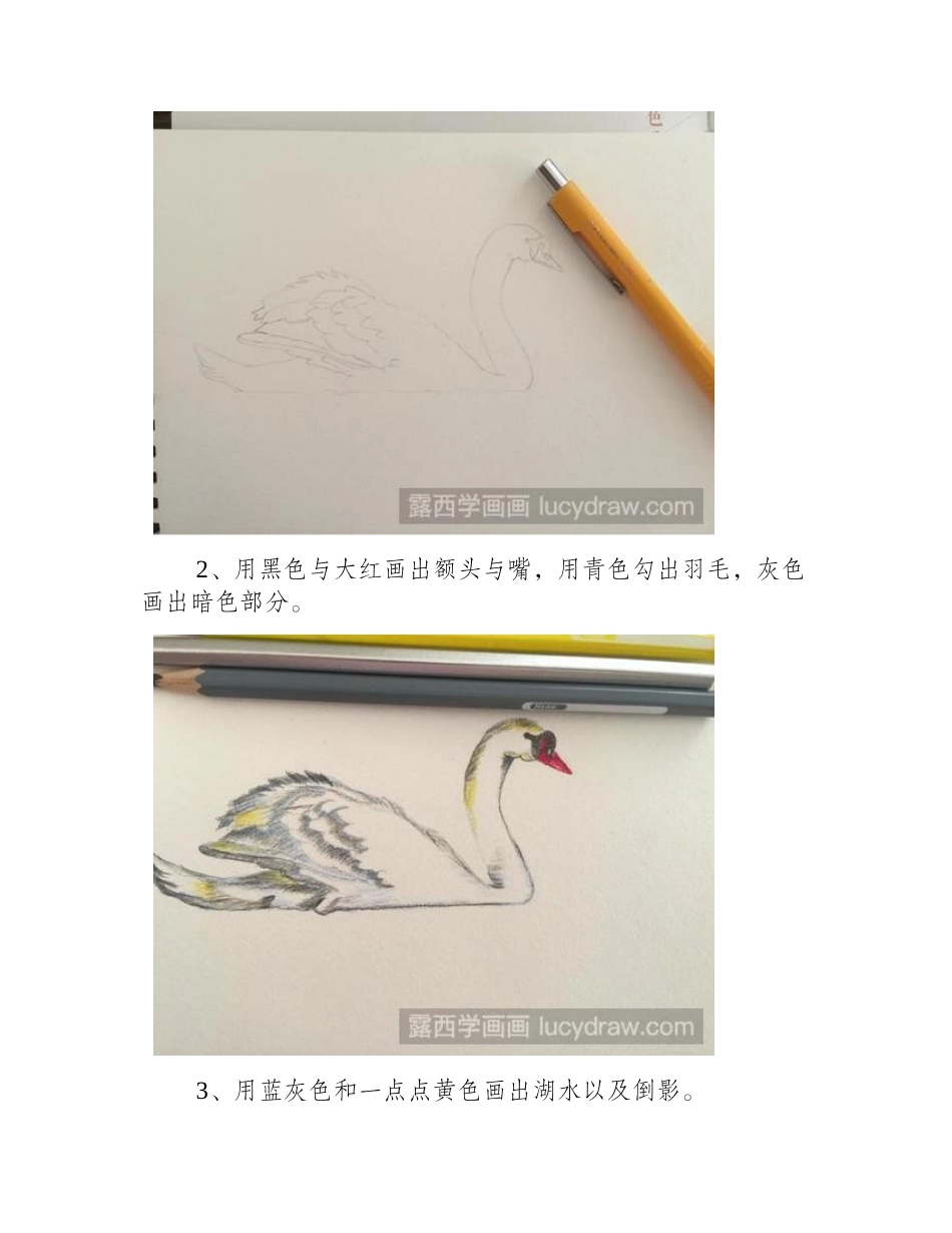 美丽的天鹅彩铅画怎么画彩铅画教程1_第2页