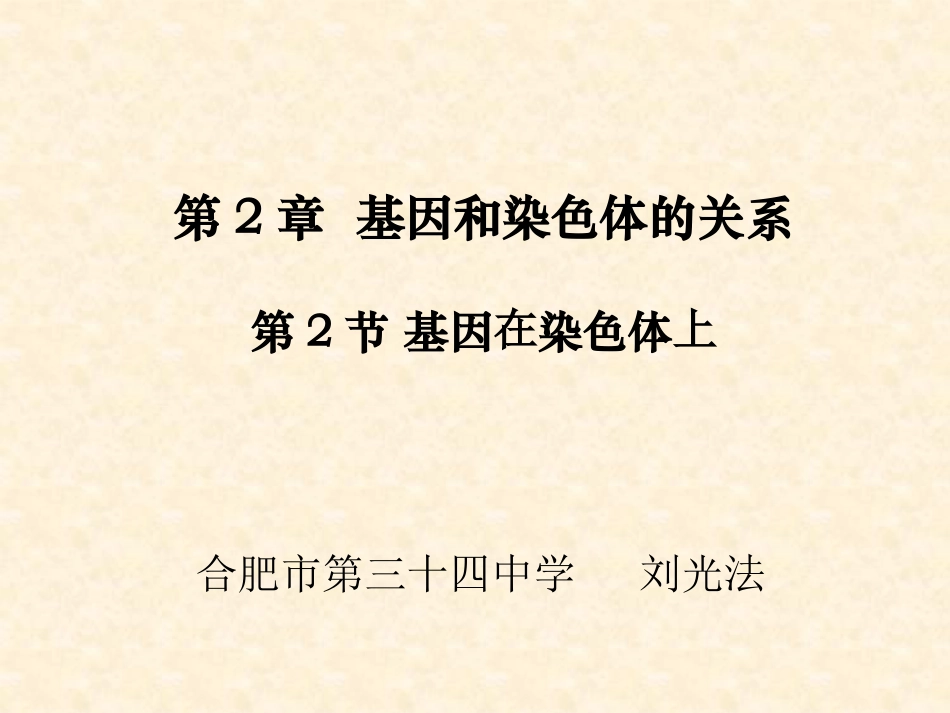 人教版高中生物必修2_第2章_第2节《基因在染色体上》课件_Microsoft_Office_PowerPoint_2007_幻灯片_第1页