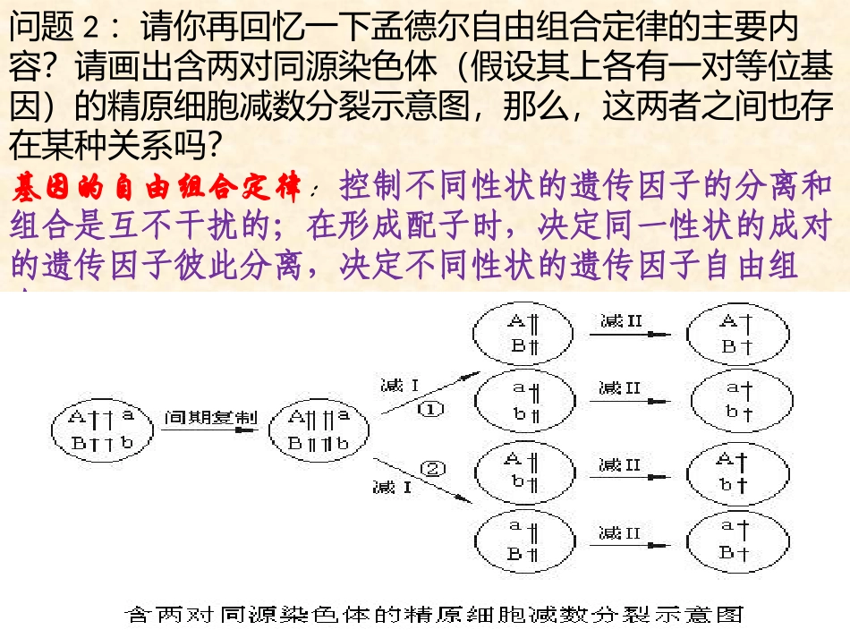 人教版高中生物必修2_第2章_第2节《基因在染色体上》课件_Microsoft_Office_PowerPoint_2007_幻灯片_第3页