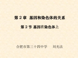 人教版高中生物必修2_第2章_第2节《基因在染色体上》课件_Microsoft_Office_PowerPoint_2007_幻灯片