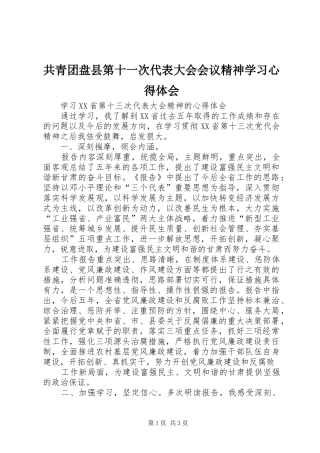 共青团盘县第十一次代表大会会议精神学习心得体会 