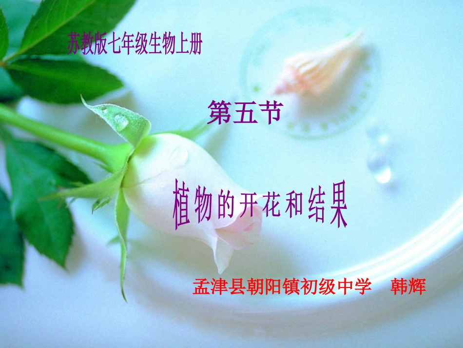 植物的开花和结果_第1页