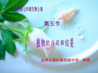 植物的开花和结果