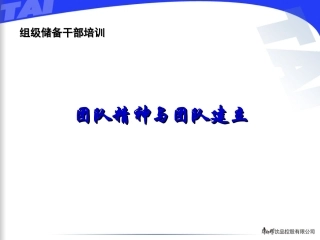 团队精神与团队建立