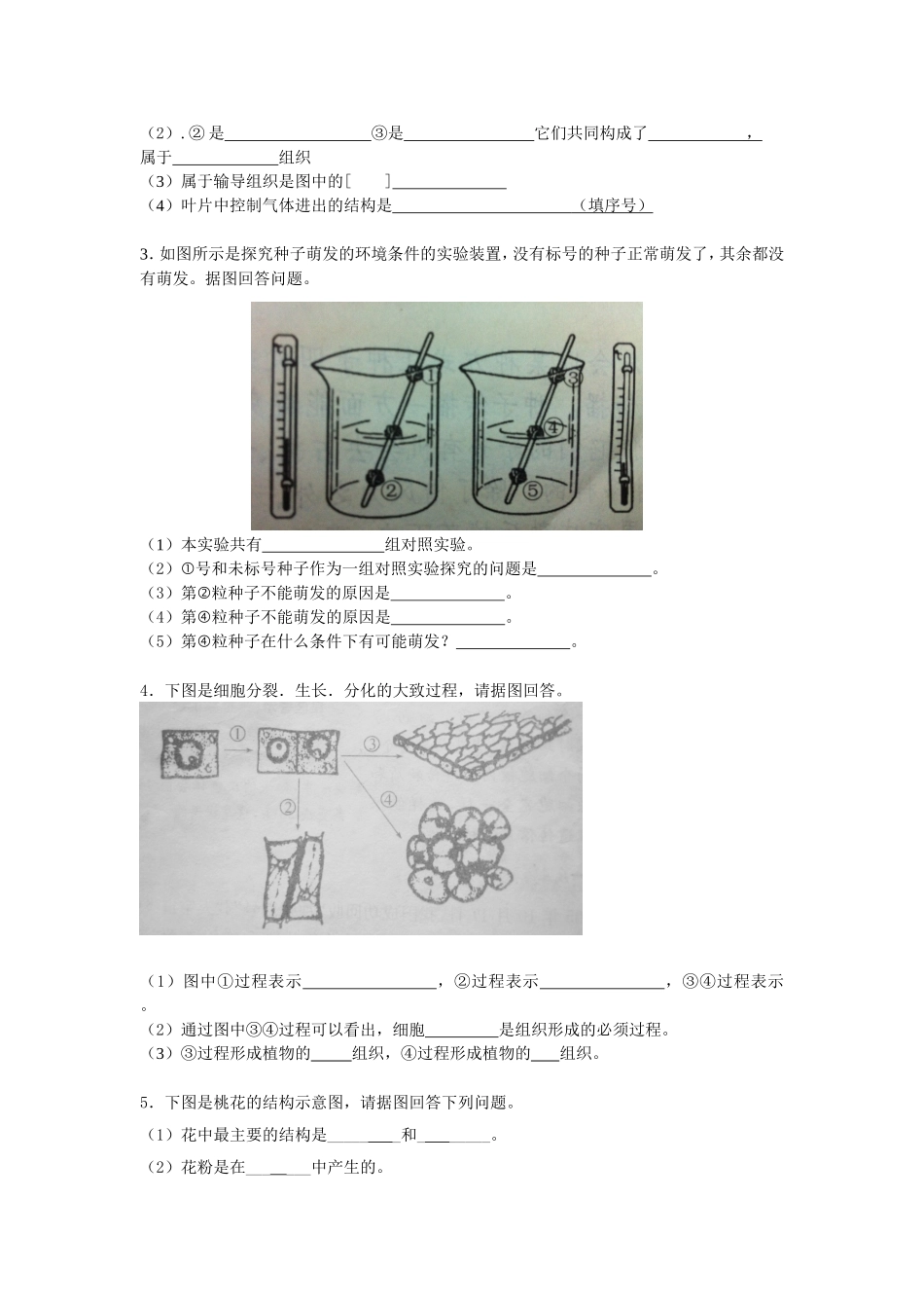 考试试卷（成萍）_第3页