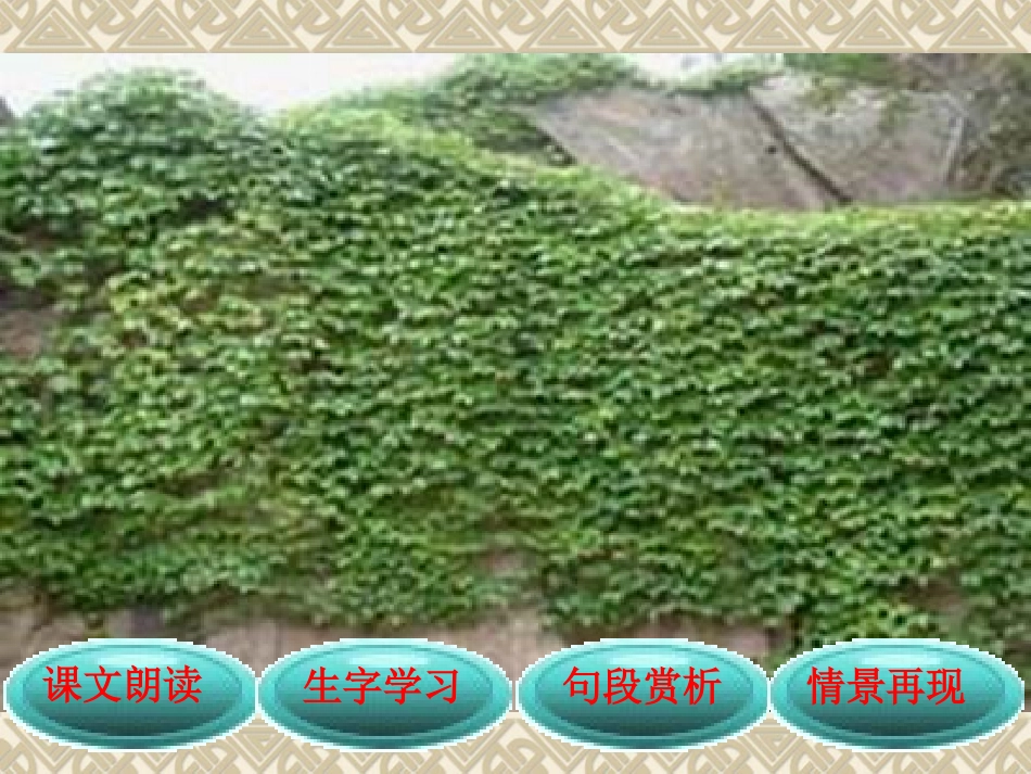 推荐小学语文四年级爬山虎的脚优秀课件4_第3页