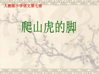 推荐小学语文四年级爬山虎的脚优秀课件4