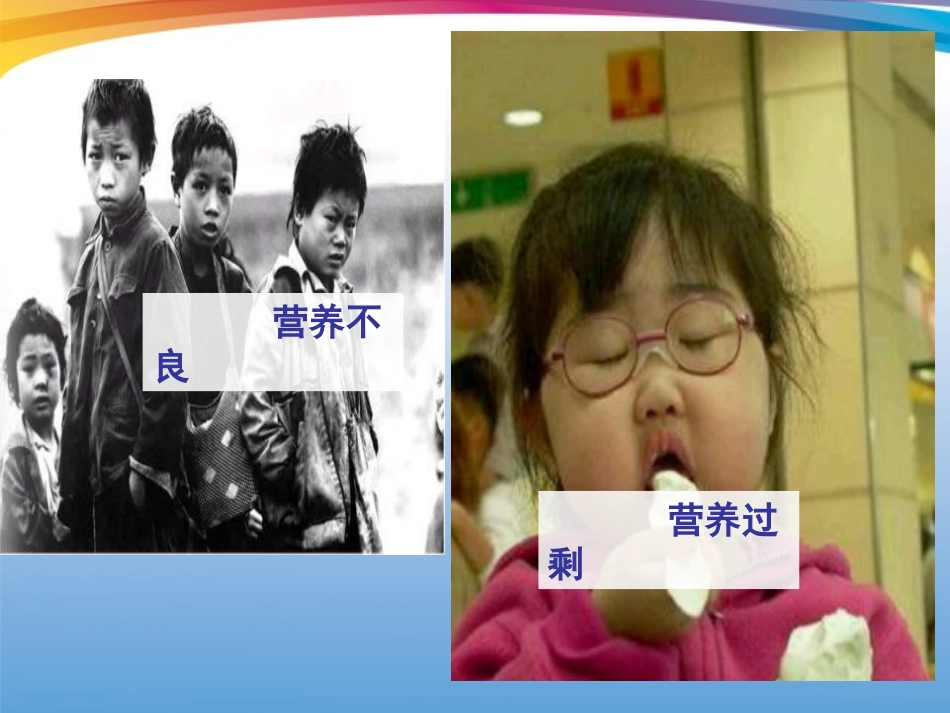 四年级科学下册_食物中的营养_3课件_教科版_第3页