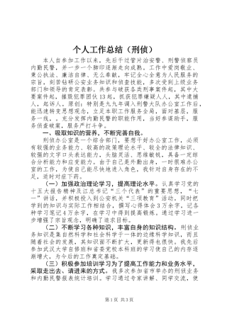 个人工作总结（刑侦）