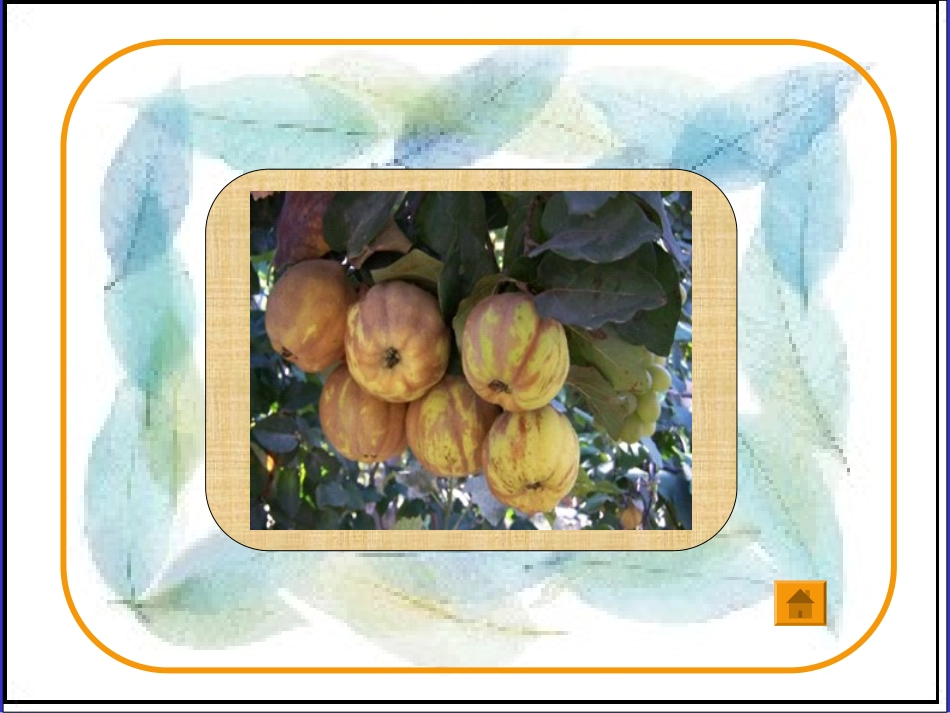 人美版第一册第12课《多彩的秋天》_第3页