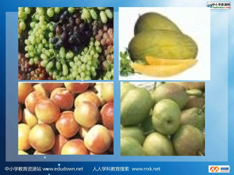 湘教版音乐五年级下册《天山风情》PPT课件_第3页