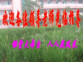 作三角形赛教课