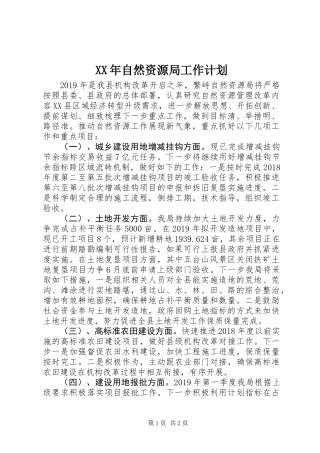 XX年自然资源局工作计划