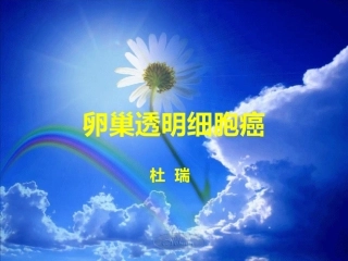 卵巢透明细胞癌