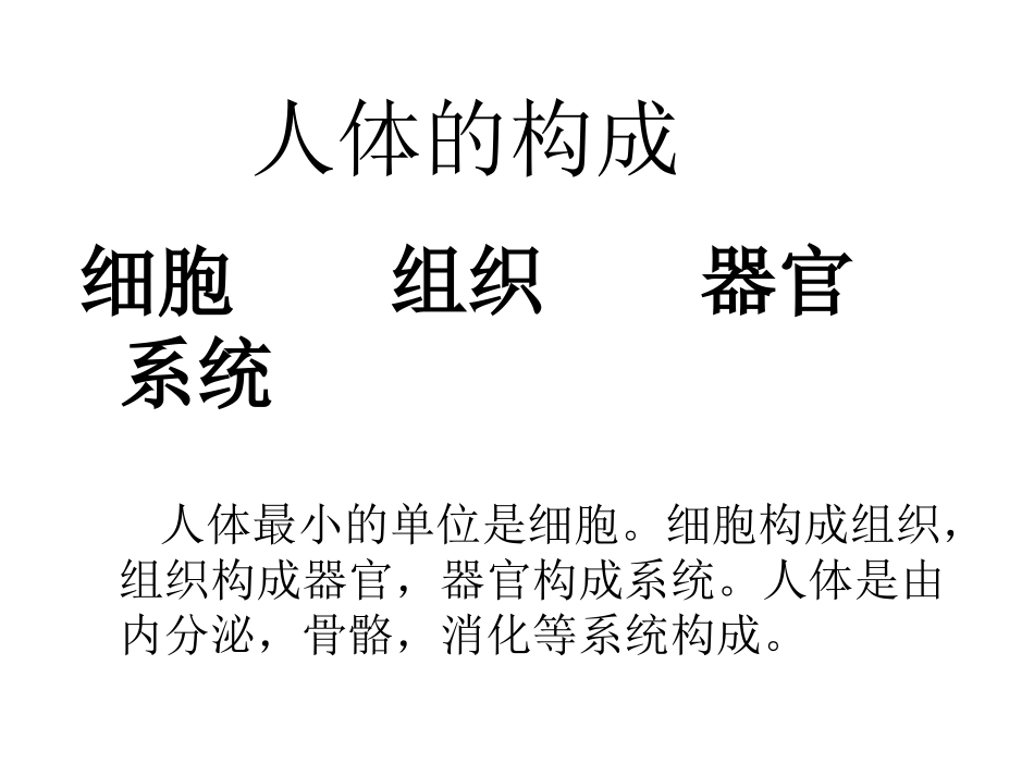 什么是细胞营养医.ppt_第2页
