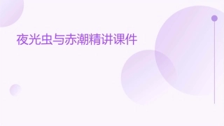 夜光虫与赤潮精讲课件