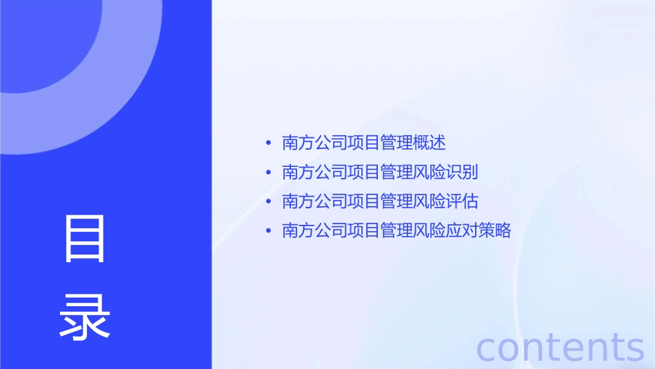 南方公司项目管理风险资料课件_第2页