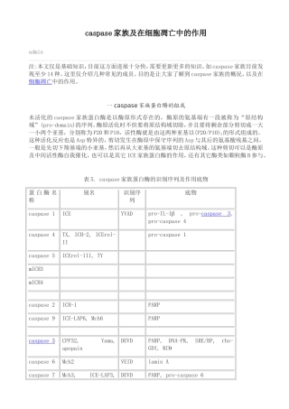 caspase家族及在细胞凋亡中的作用