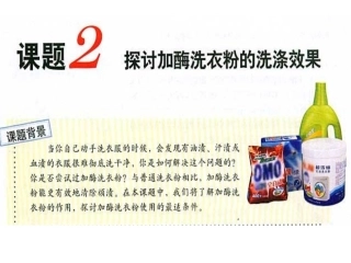 探讨加酶洗衣粉的洗涤效果课件（用）