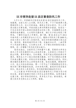 XX市领导赴望XX县区督查防汛工作