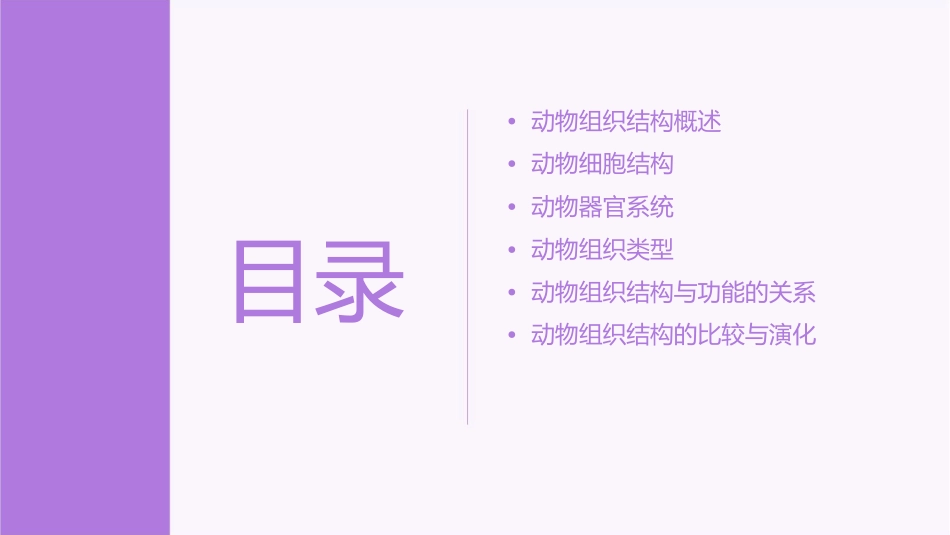 动物的组织结构汇总课件_第2页