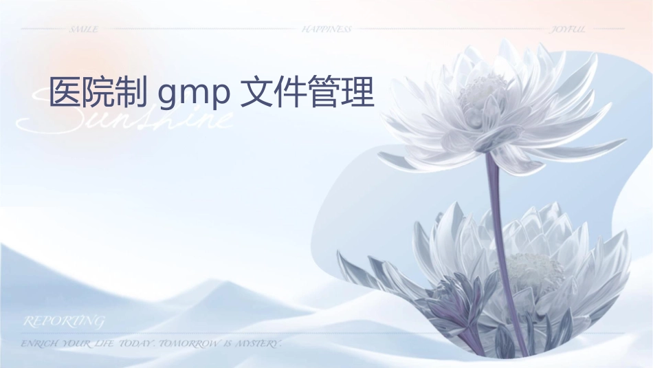 医院制剂GMP文件管理课件_第1页