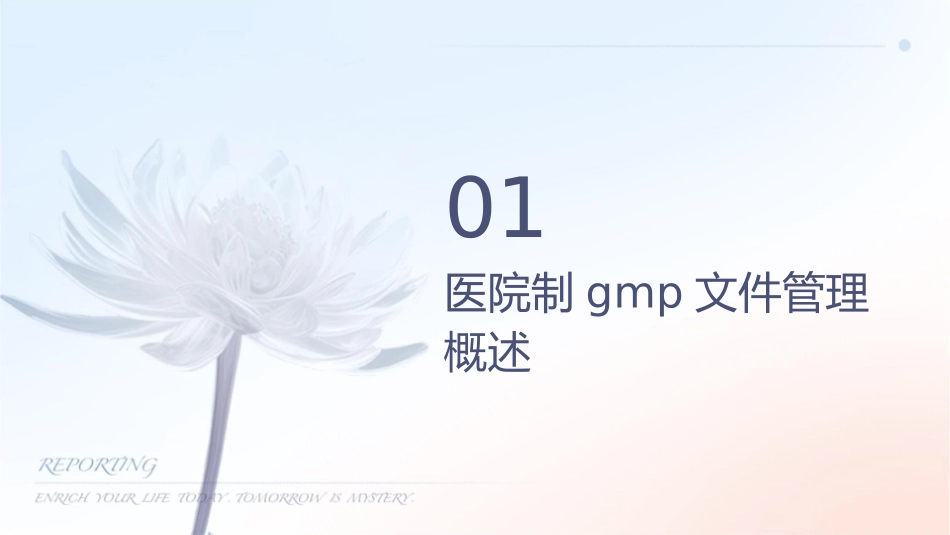 医院制剂GMP文件管理课件_第3页