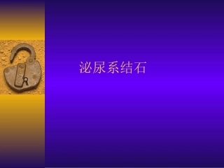 泌尿系结石-(1)