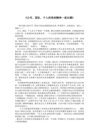 《公司、团队、个人的亮剑精神—读后感》