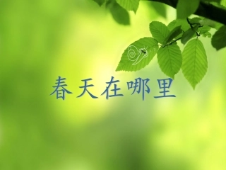 一年级品德与生活下册春姑娘来了