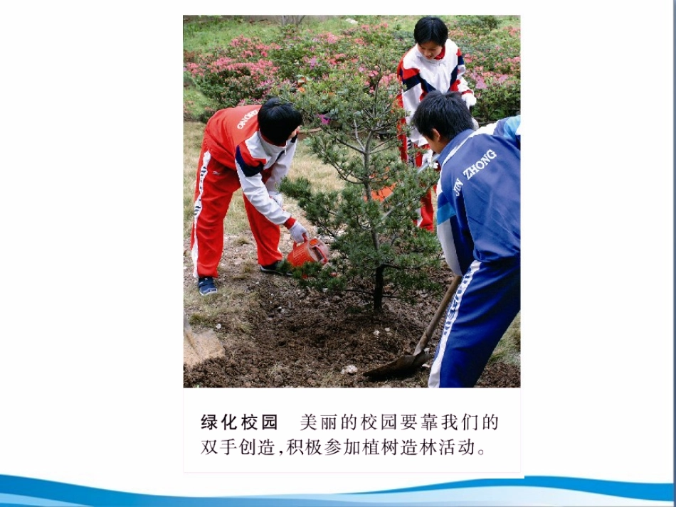 《绿化，我们共同的行动》参考课件_第3页