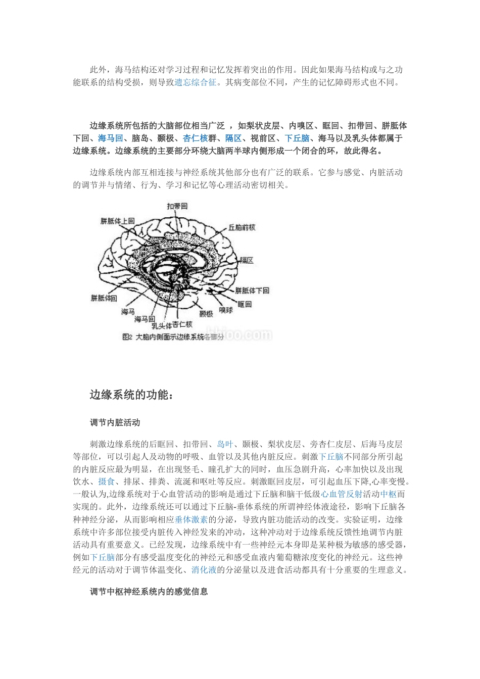 大脑边缘系统_第2页