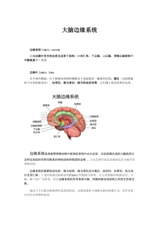 大脑边缘系统