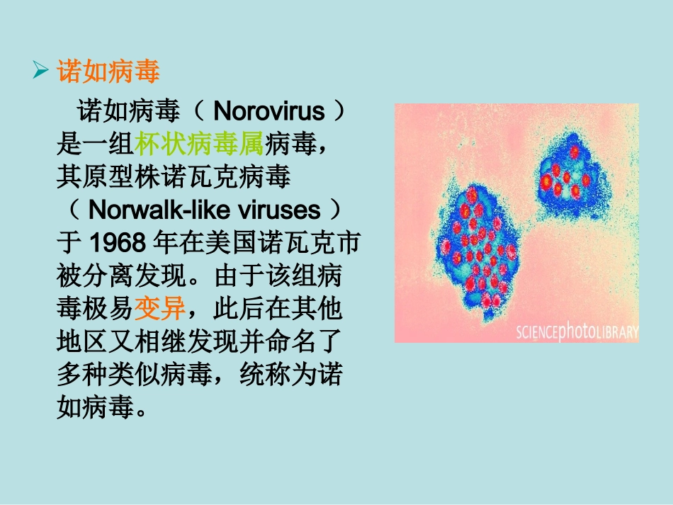 感染性腹泻防控_第3页