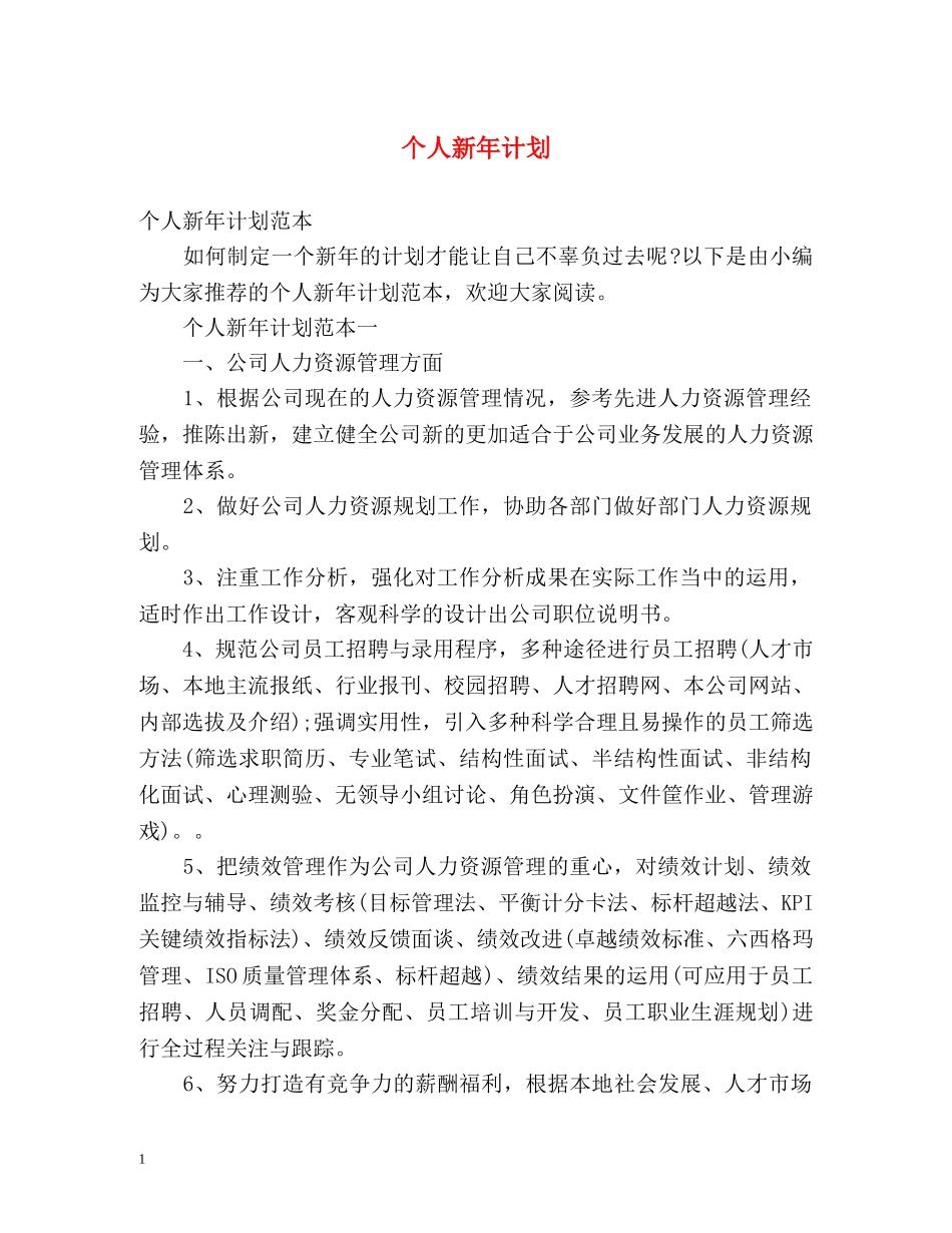 个人新年计划 _第1页