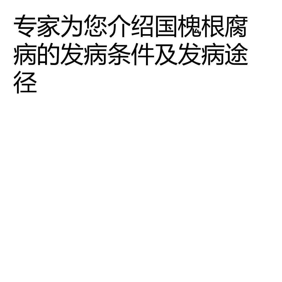 浅谈国槐的根腐病_第2页