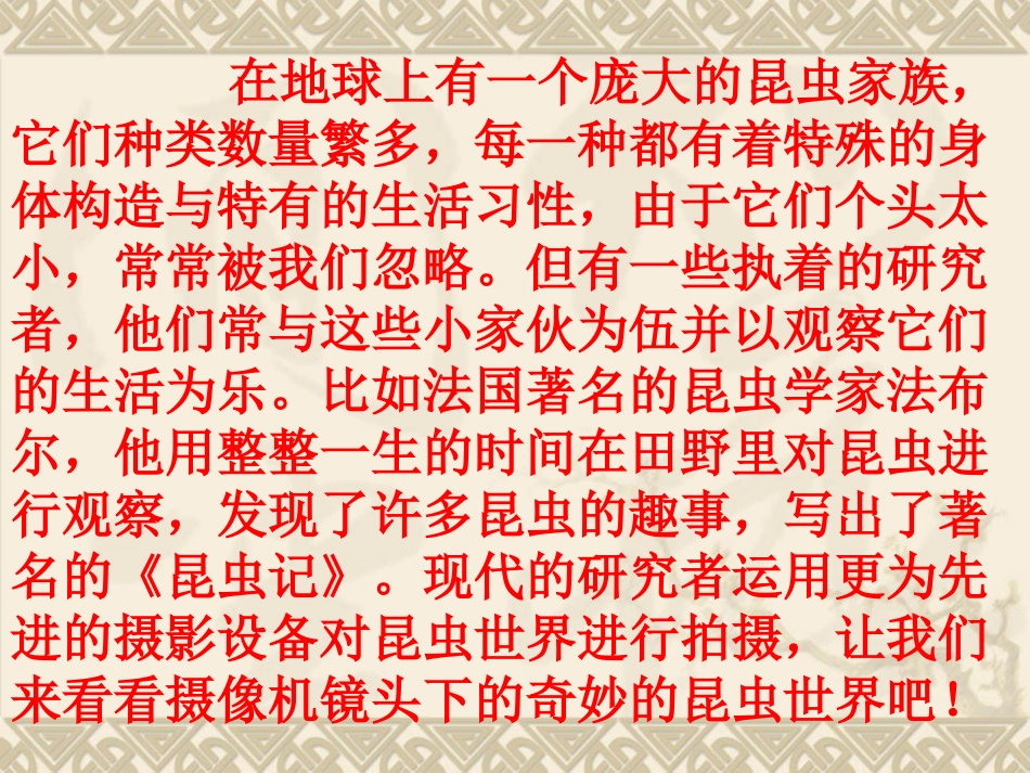 教科版小学科学六年级下册第一单元《放大镜下的昆虫世界》课件_第2页