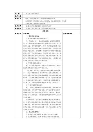 放大镜下的昆虫世界