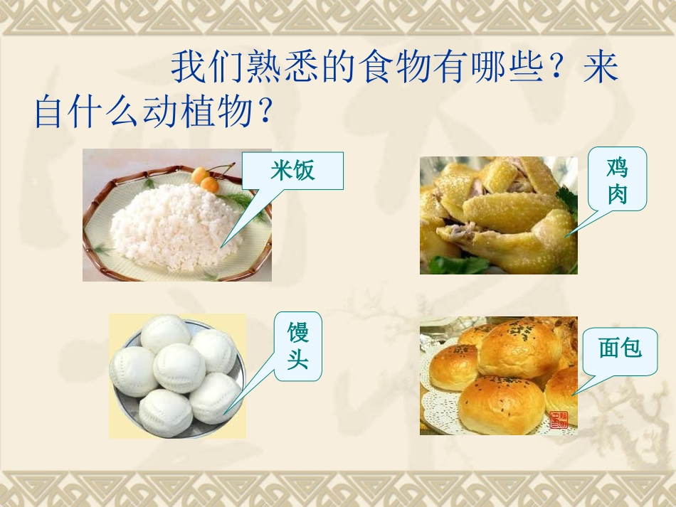 食物从哪里来_第2页