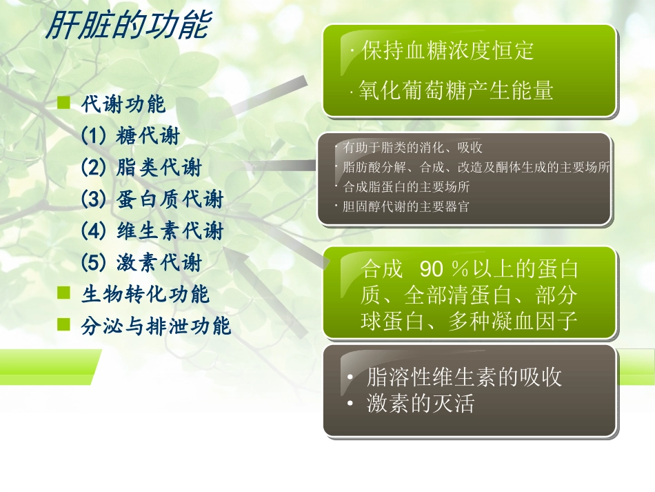 常用保肝药分类及应用_第2页