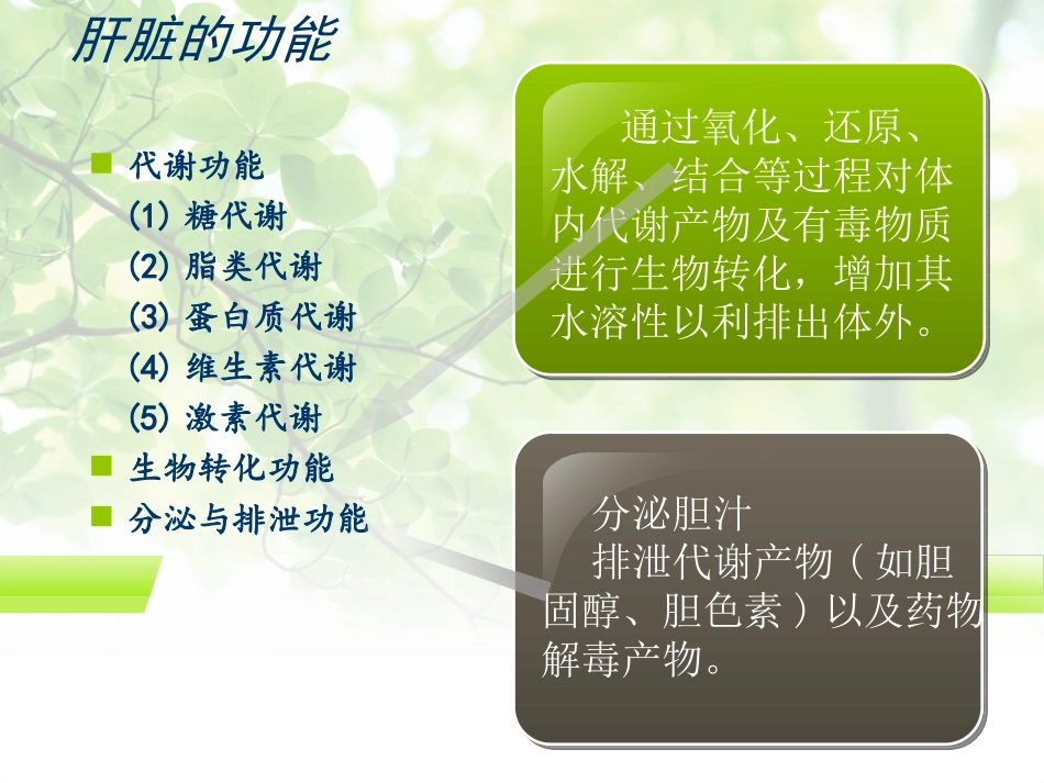常用保肝药分类及应用_第3页