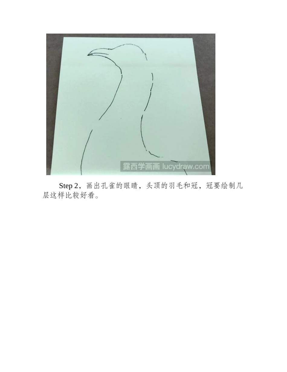 孔雀头部速写教程速写教程_第2页