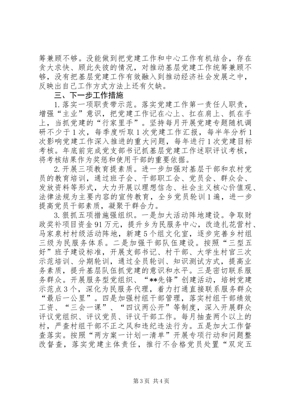 党委书记述职报告_1_第3页