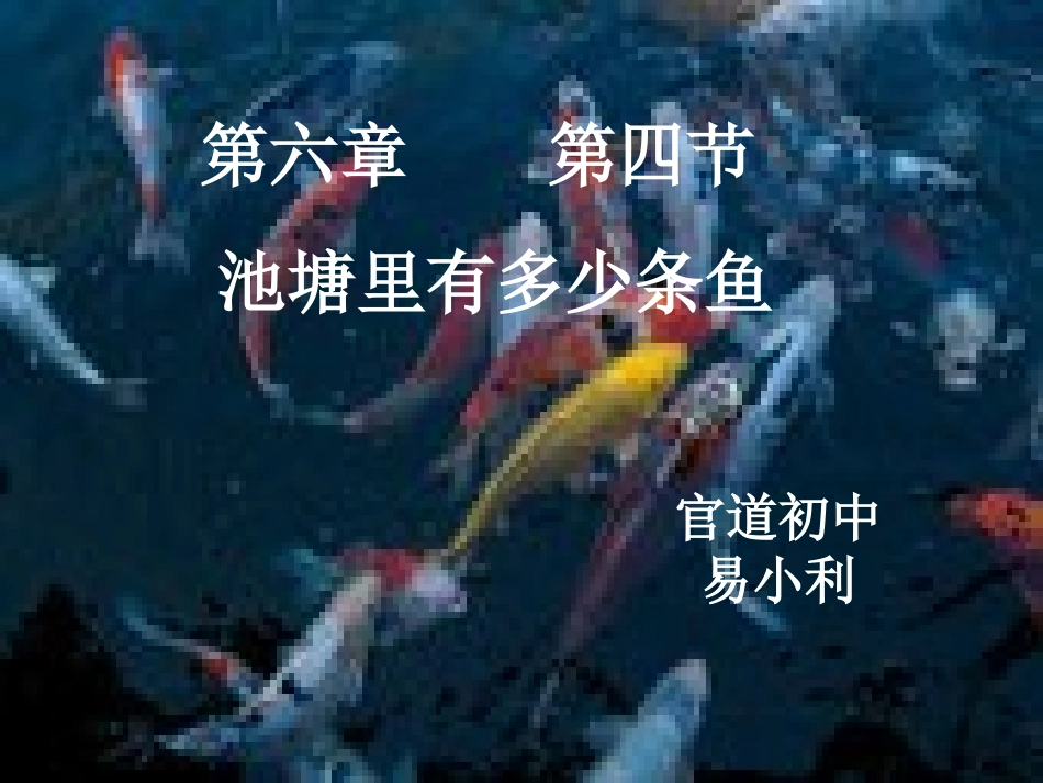 池塘里有多少条鱼_第1页