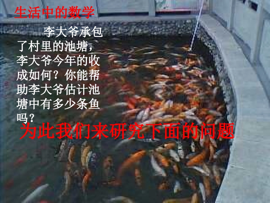 池塘里有多少条鱼_第2页