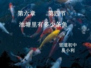 池塘里有多少条鱼