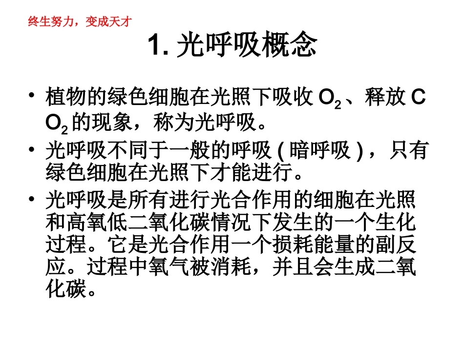 光呼吸-自制_第3页