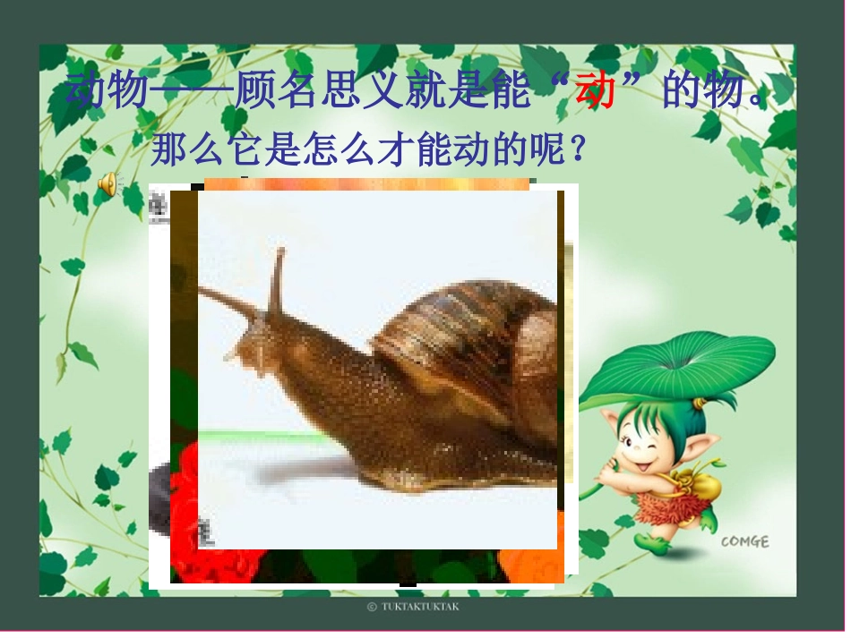 人教版新教材八年级生物上册第五单元第二章第一节动物的运动_第3页