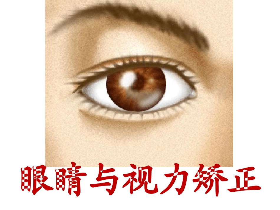 眼睛与视力矫正_第1页