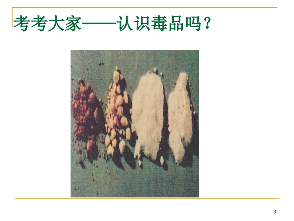 毒品及毒品的危害_第3页